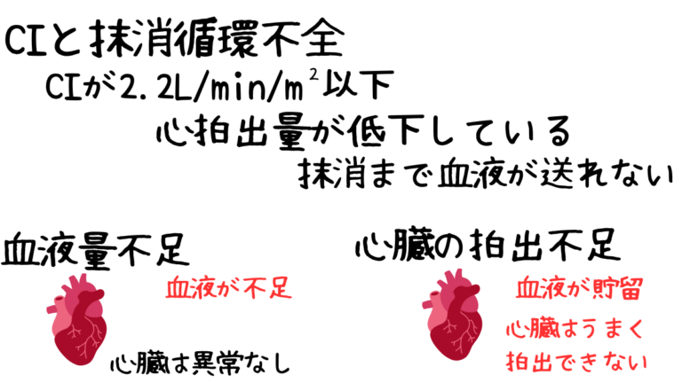 Forester Classifications フォレスター分類で心不全を攻略!臨床工学技士必見のポイントまとめ | みんなのMEセンター
