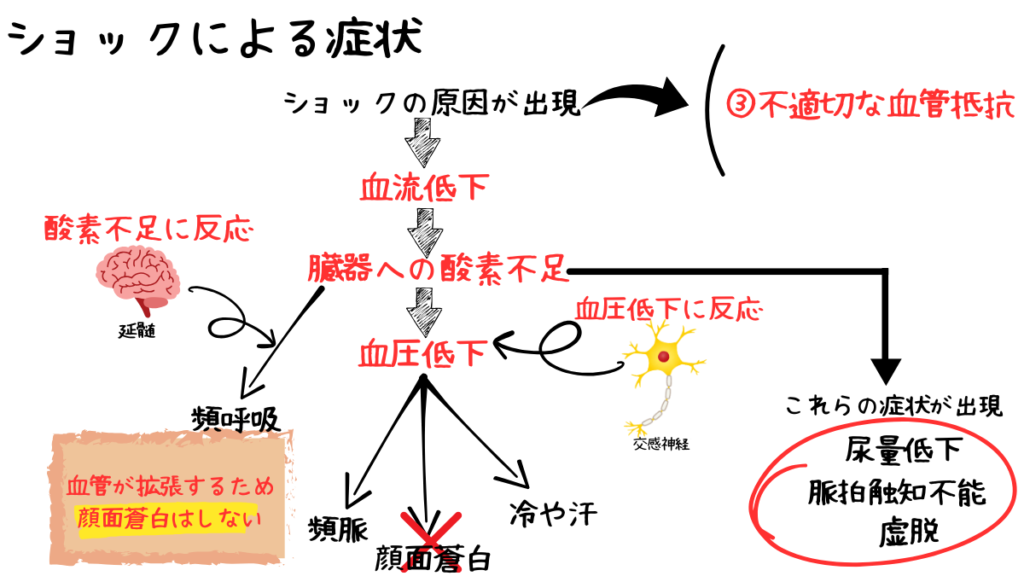 臨床工学技士がショック対応で迷う理由と初動判断 | みんなのMEセンター